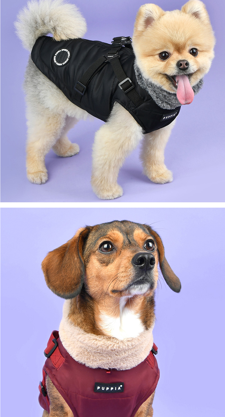 はっぴーDOG 犬 服 犬服 いぬ 犬の服 ジャケット ハーネス付き 背中
