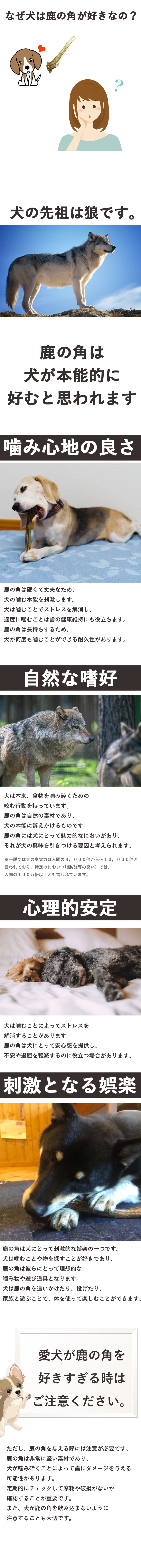 鹿の角 Xsサイズ 北海道 鹿角 犬のおもちゃ 犬 犬用 噛む おもちゃ おやつ ドッグガム デンタルケア デンタル効果 口臭対策 無添加 壊れない 送料無料 Md0916xs かわいい犬服屋さん はっぴーdog 通販 Yahoo ショッピング