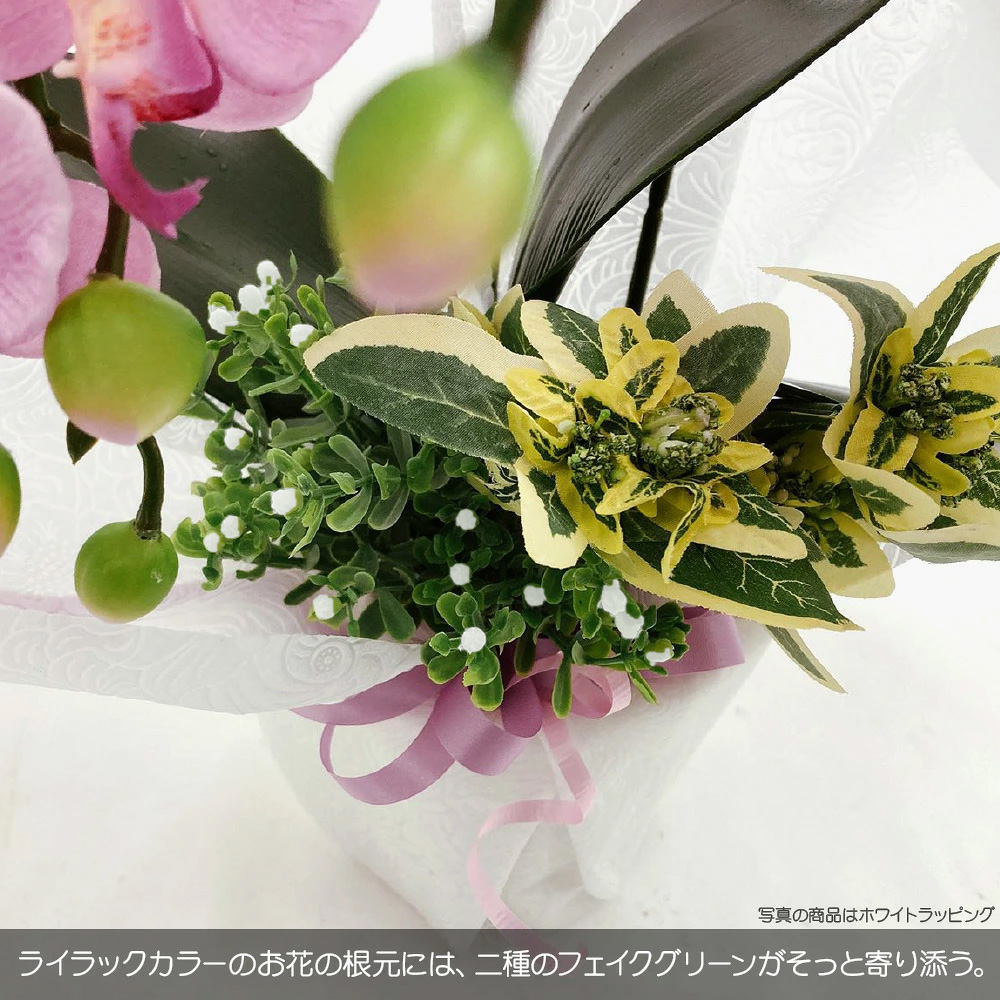 エレガント胡蝶蘭 デザイナーズアレンジ CT触...の詳細画像2