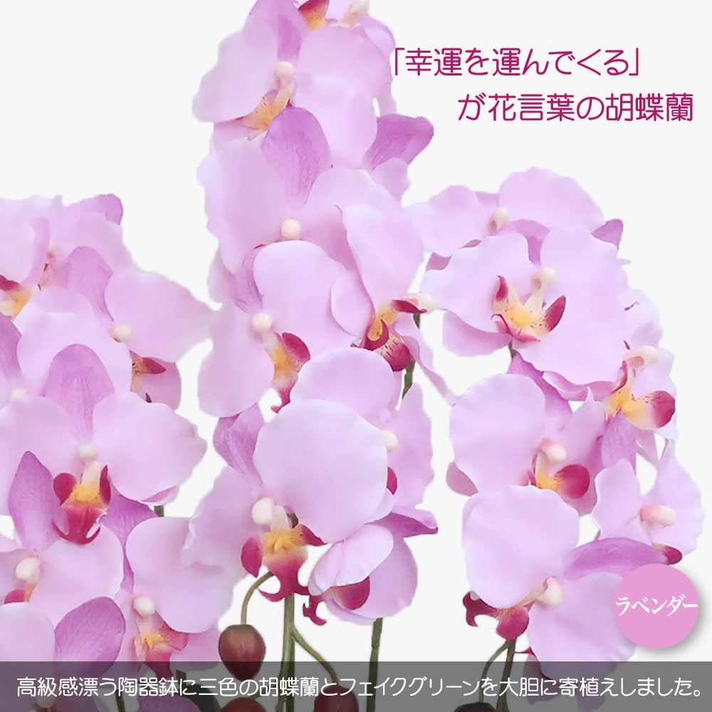 遅れてごめんね 母の日 花 ギフト プレゼント クラシック胡蝶蘭 デザイナーズアレンジ CT触媒 アーティフィシャルフラワー 贈り物 お祝い｜k-hana｜02