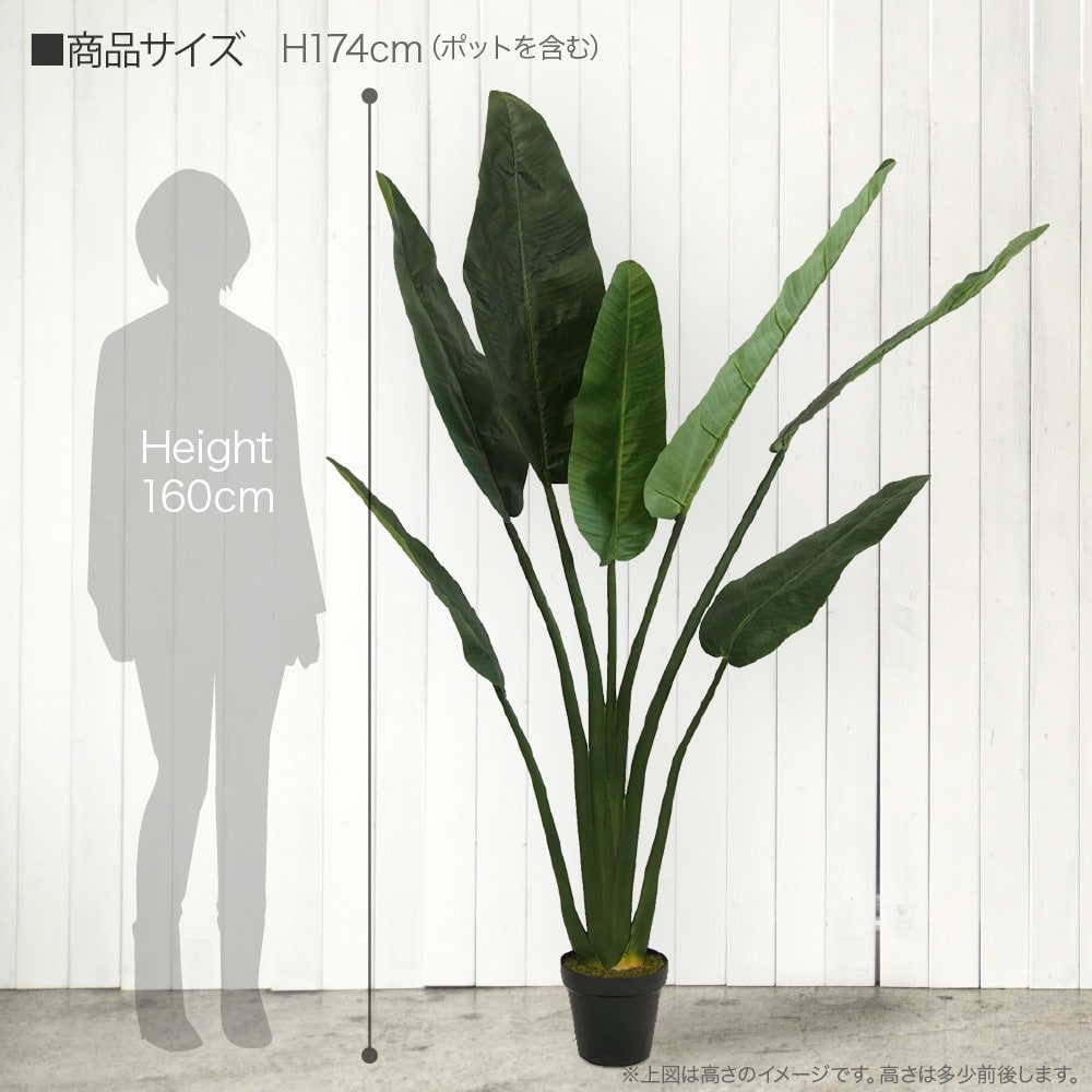 人工観葉植物 造花 大型 タビビトノキ トラベラーズパームツリーポット