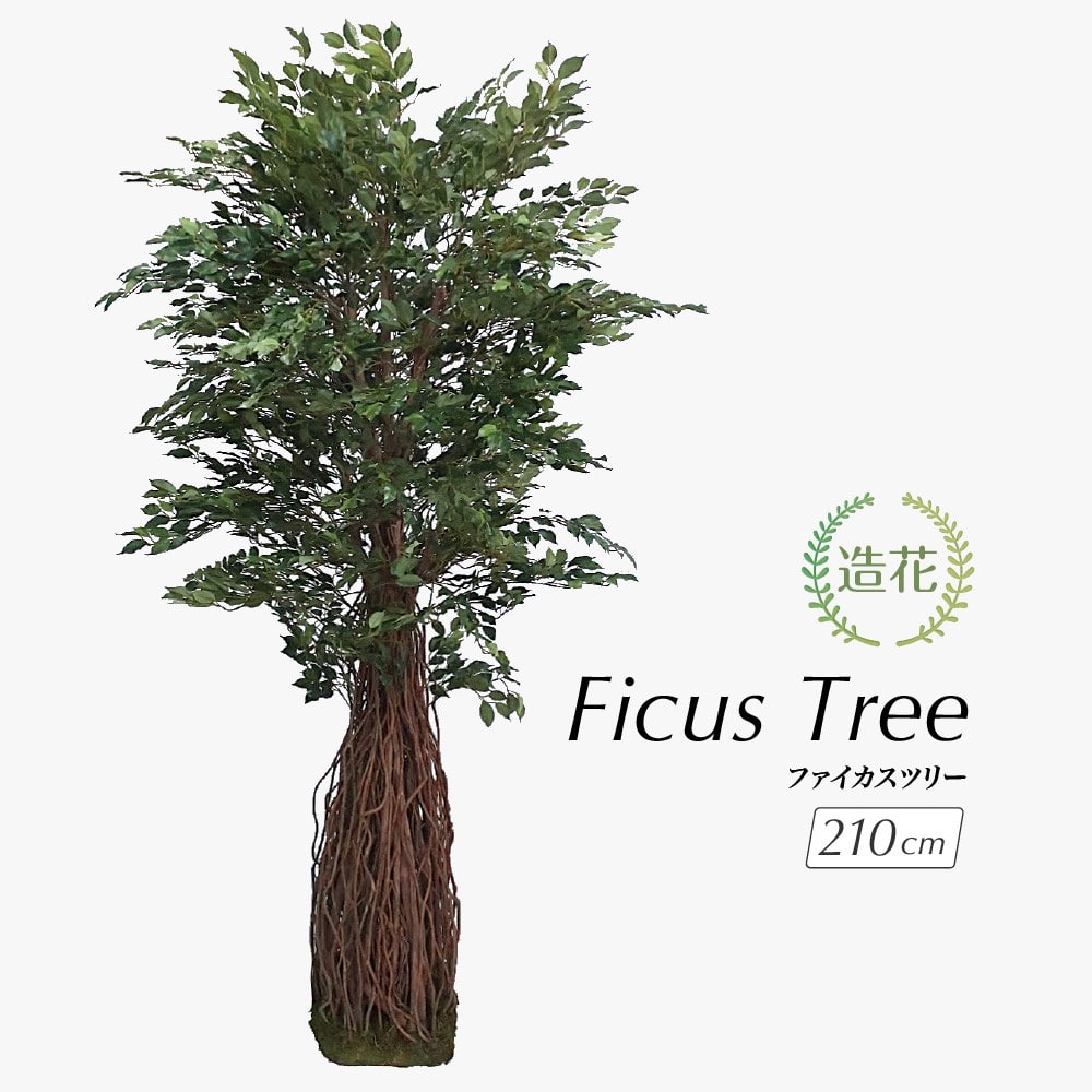 人工観葉植物 フェイクグリーン 大型 ファイカス ツリー 210cm フィカス 観葉植物 造花 A-50779 :a-50779:フェイクグリーンの神戸花物語  - 通販 - Yahoo!ショッピング