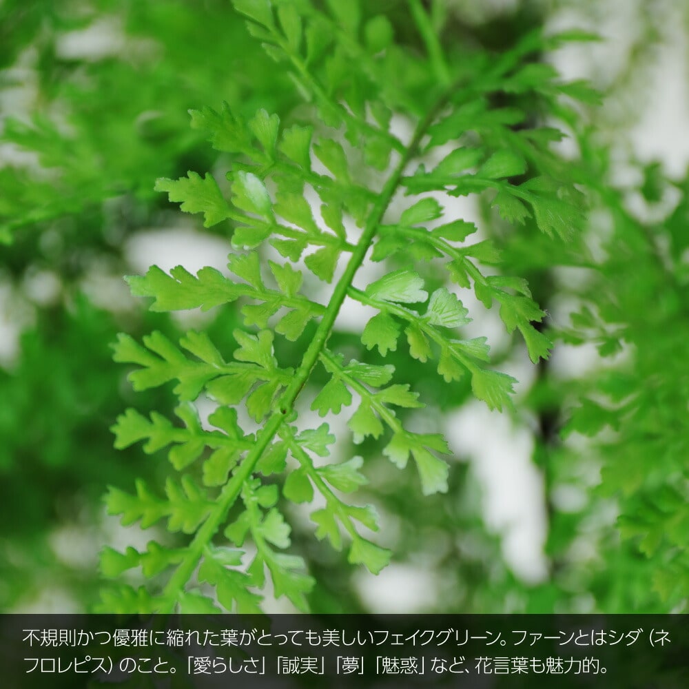 人工観葉植物 フェイクグリーン 観葉植物 造花 光触媒 リアルファーン