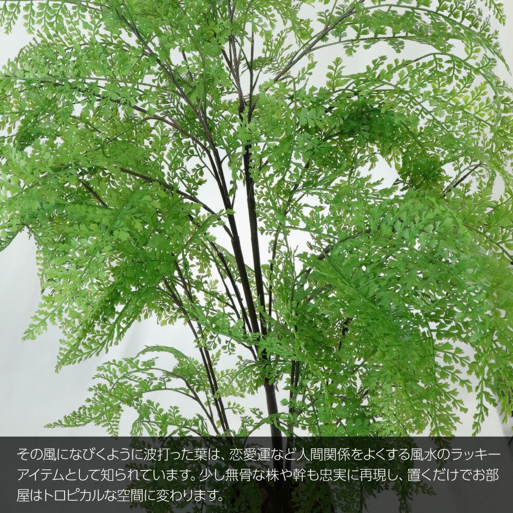 人工観葉植物 フェイクグリーン 観葉植物 造花 光触媒 リアルファーン