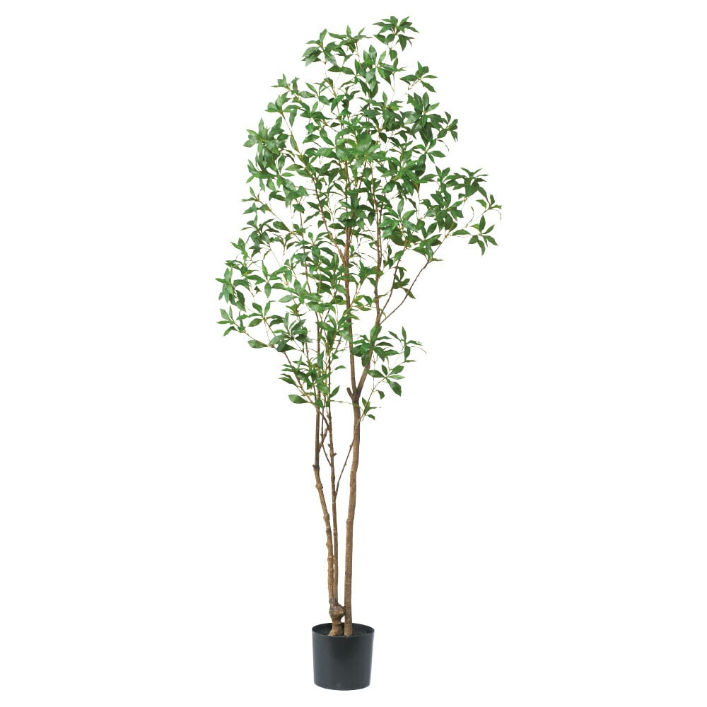 人気スポー新作 人工観葉植物 Asca 簡易ポット付 スマイラックスツリー フェイクグリーン 造花 花