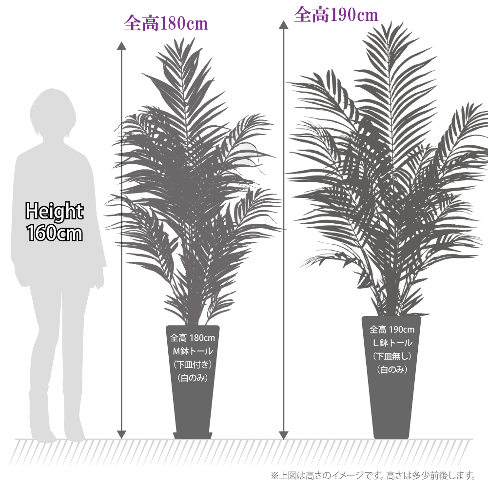 観葉植物　アレカパーム190cm