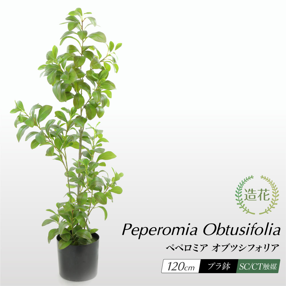 神戸花物語 フェイクグリーン アオペペ 観葉植物 人工観葉 大型 光触媒