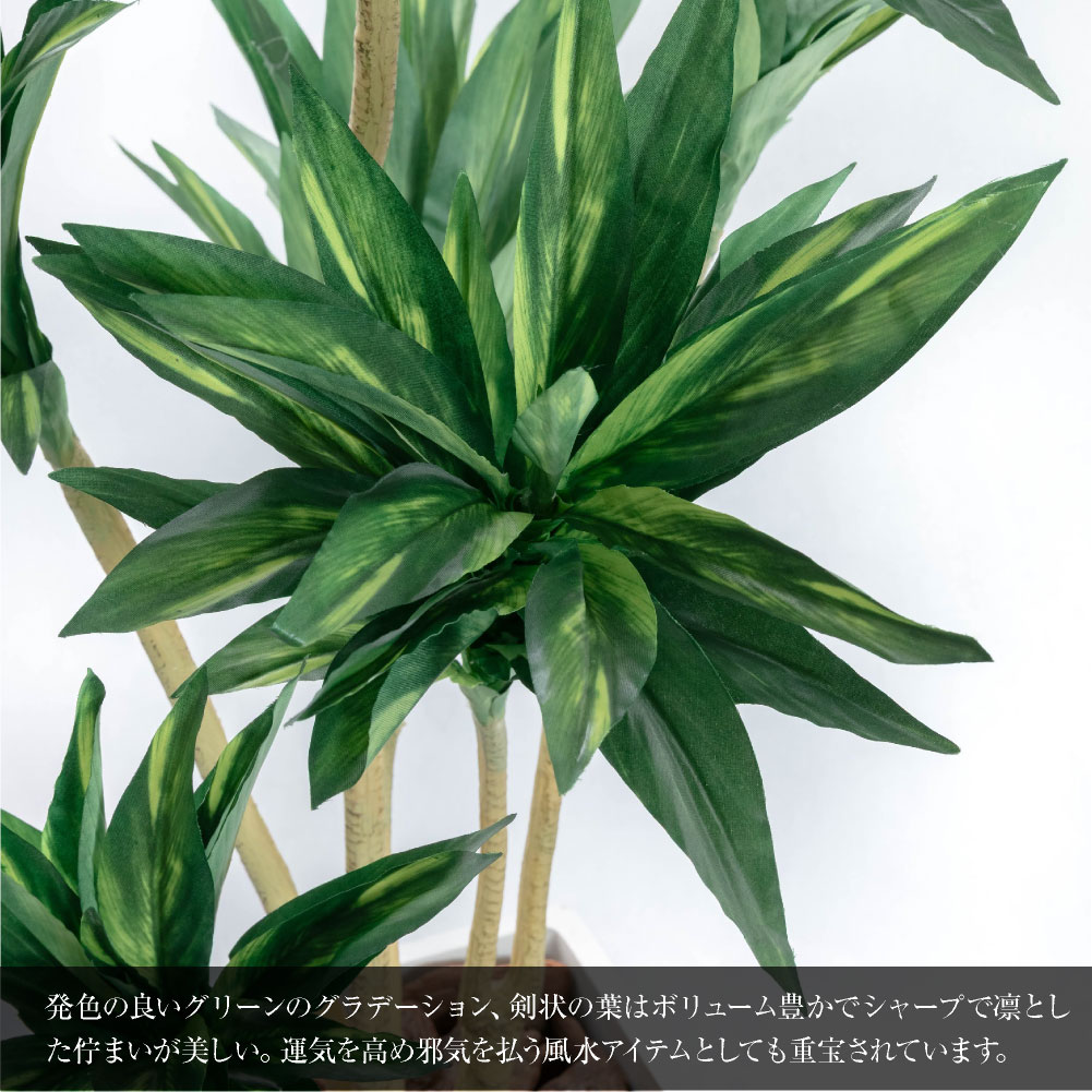 神戸花物語 フェイクグリーン 人工観葉植物 大型 光触媒 コルジリネ
