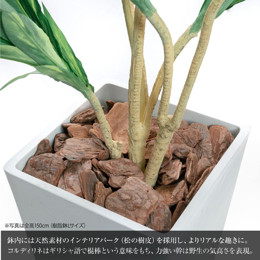 フェイクグリーン 人工観葉植物 大型 光触媒 コルジリネ 鉢植 ユッカ ドラセナ コルディリネ お祝い オフィス  / コルジリネ ストリクタ 樹脂鉢L 全高150cmの画像
