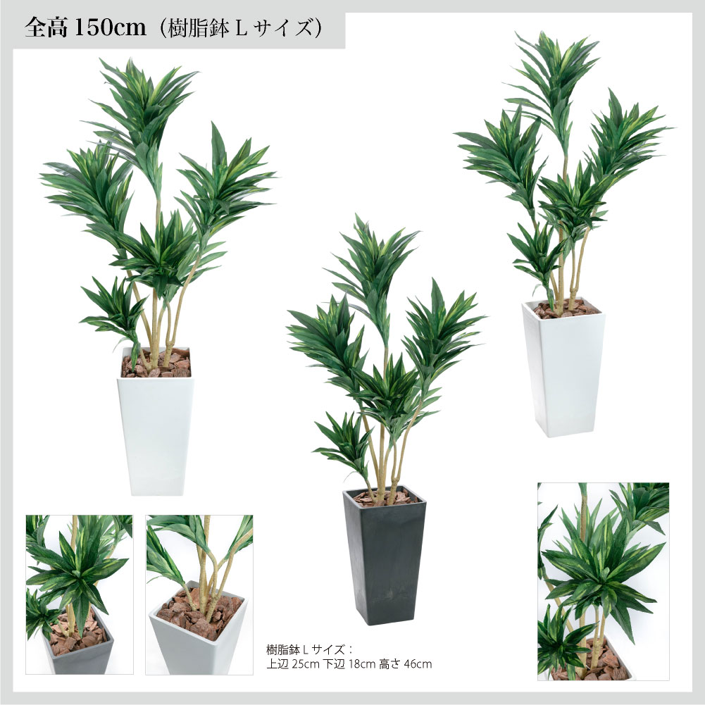 フェイクグリーン 人工観葉植物 大型 光触媒 コルジリネ 鉢植 ユッカ ドラセナ コルディリネ お祝い オフィス  / コルジリネ ストリクタ 樹脂鉢L 全高150cmの画像