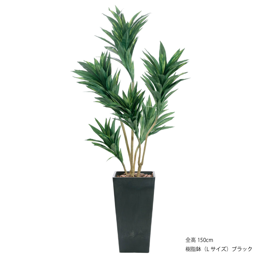 フェイクグリーン 人工観葉植物 大型 光触媒 コルジリネ 鉢植 ユッカ ドラセナ コルディリネ お祝い オフィス  / コルジリネ ストリクタ 樹脂鉢L 全高150cmの画像