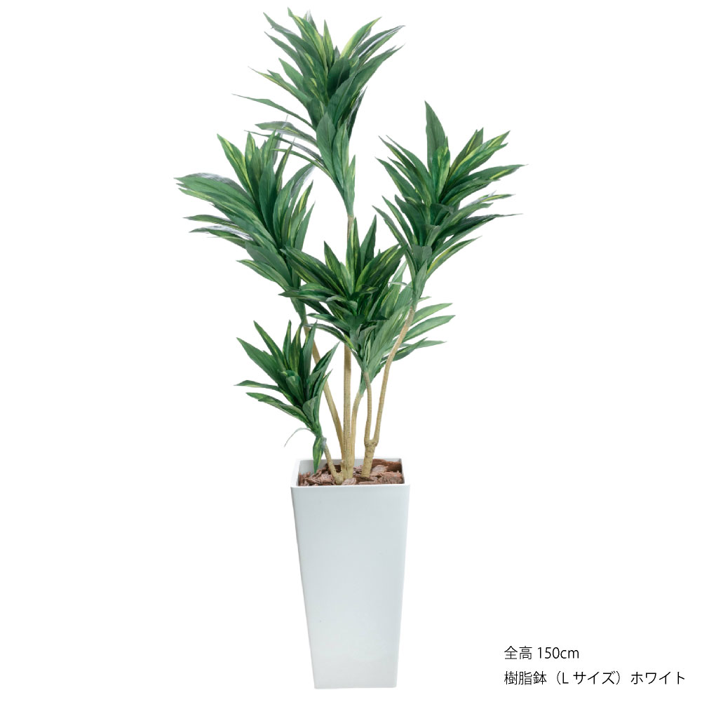 フェイクグリーン 人工観葉植物 大型 光触媒 コルジリネ 鉢植 ユッカ ドラセナ コルディリネ お祝い オフィス  / コルジリネ ストリクタ 樹脂鉢L 全高150cmの画像