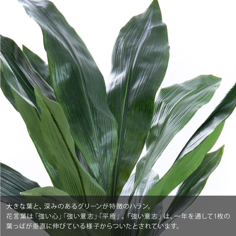 神戸花物語 フェイクグリーン 観葉植物 人工観葉 大型 光触媒