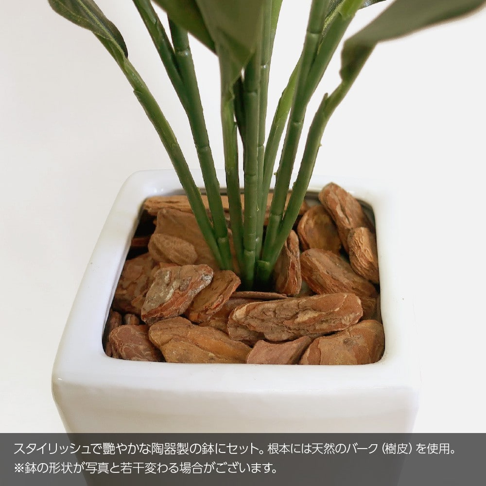 光触媒 人工観葉植物 ウォールグリーン フェイクグリーン ショウナン