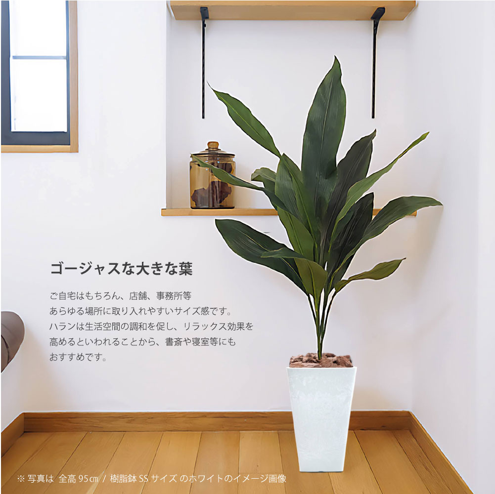 ハランのおすすめ人気商品一覧 通販 - Yahoo!ショッピング