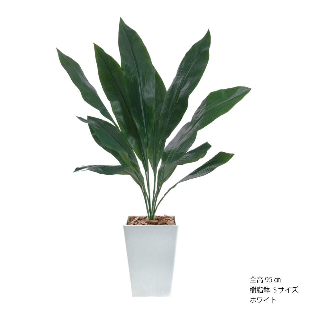 ハラン 鉢(花、ガーデニング)の商品一覧 通販 - Yahoo!ショッピング ハラン 鉢(花、ガーデニング)の商品一覧 通販 - Yahoo!ショッピング