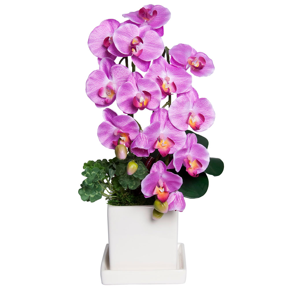 母の日 2025 プレゼント 胡蝶蘭 造花 鉢植え ミニ ギフト お祝い CT触媒 光触媒 消臭 / 開運 ミニ胡蝶蘭 一粒万倍 ダブルラッキーポット | 神戸花物語 | 03