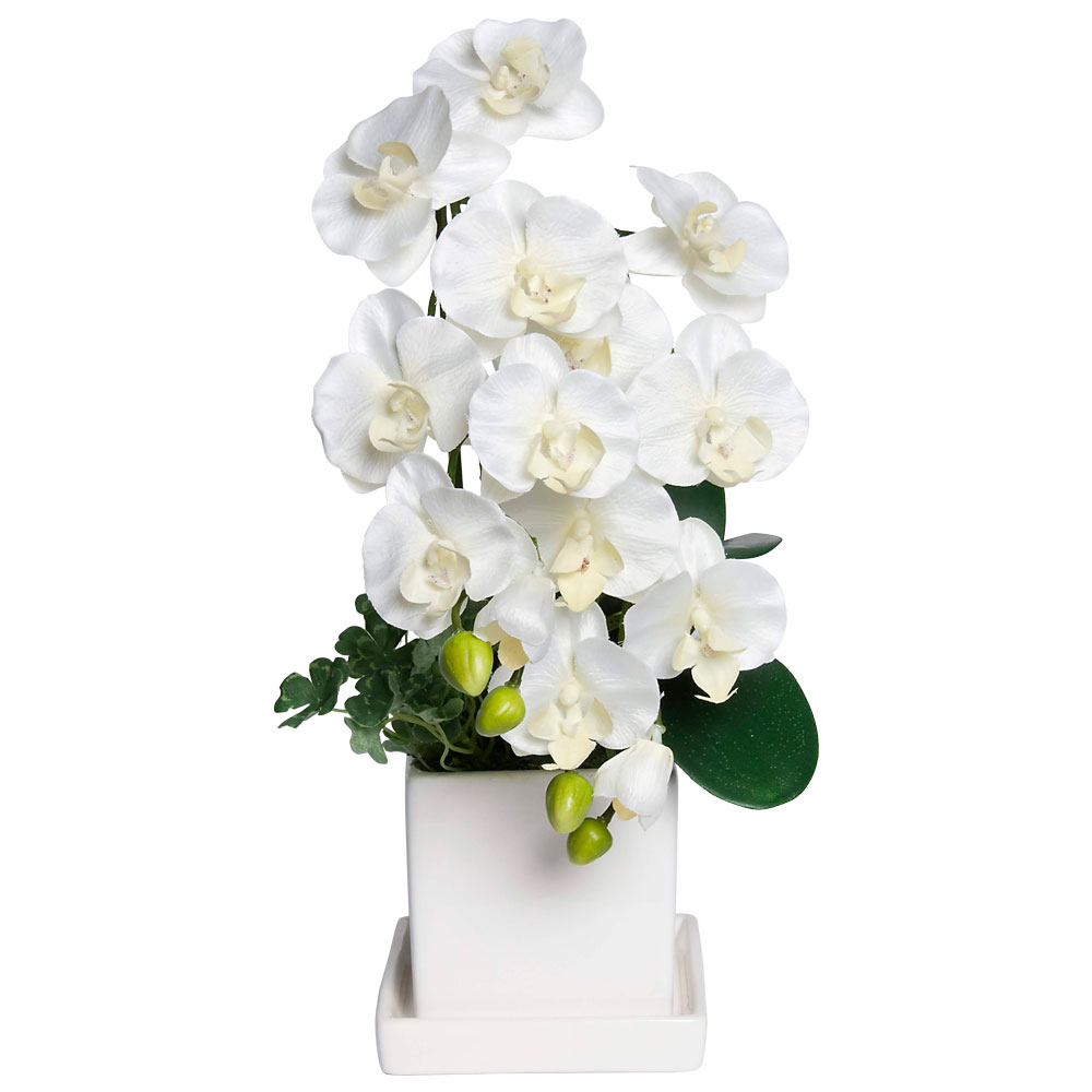 母の日 2025 プレゼント 胡蝶蘭 造花 鉢植え ミニ ギフト お祝い CT触媒 光触媒 消臭 / 開運 ミニ胡蝶蘭 一粒万倍 ダブルラッキーポット | 神戸花物語 | 01