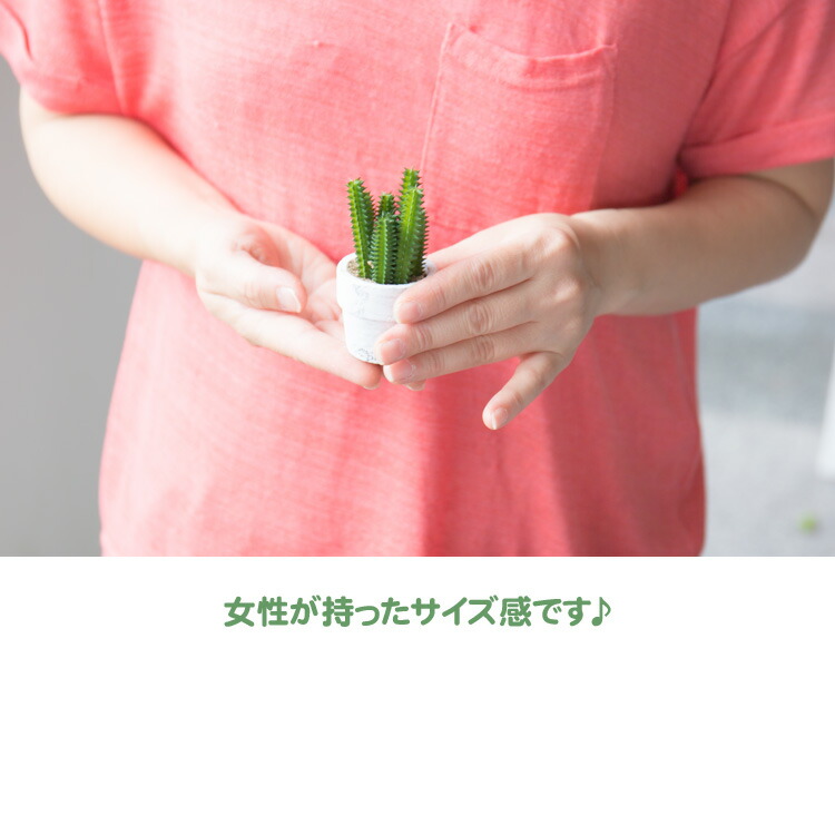光触媒 人工観葉植物 多肉植物とスワッグと仏花 光触媒人工植物 光の楽園 多肉植物 3点セット｜介護用品の販売