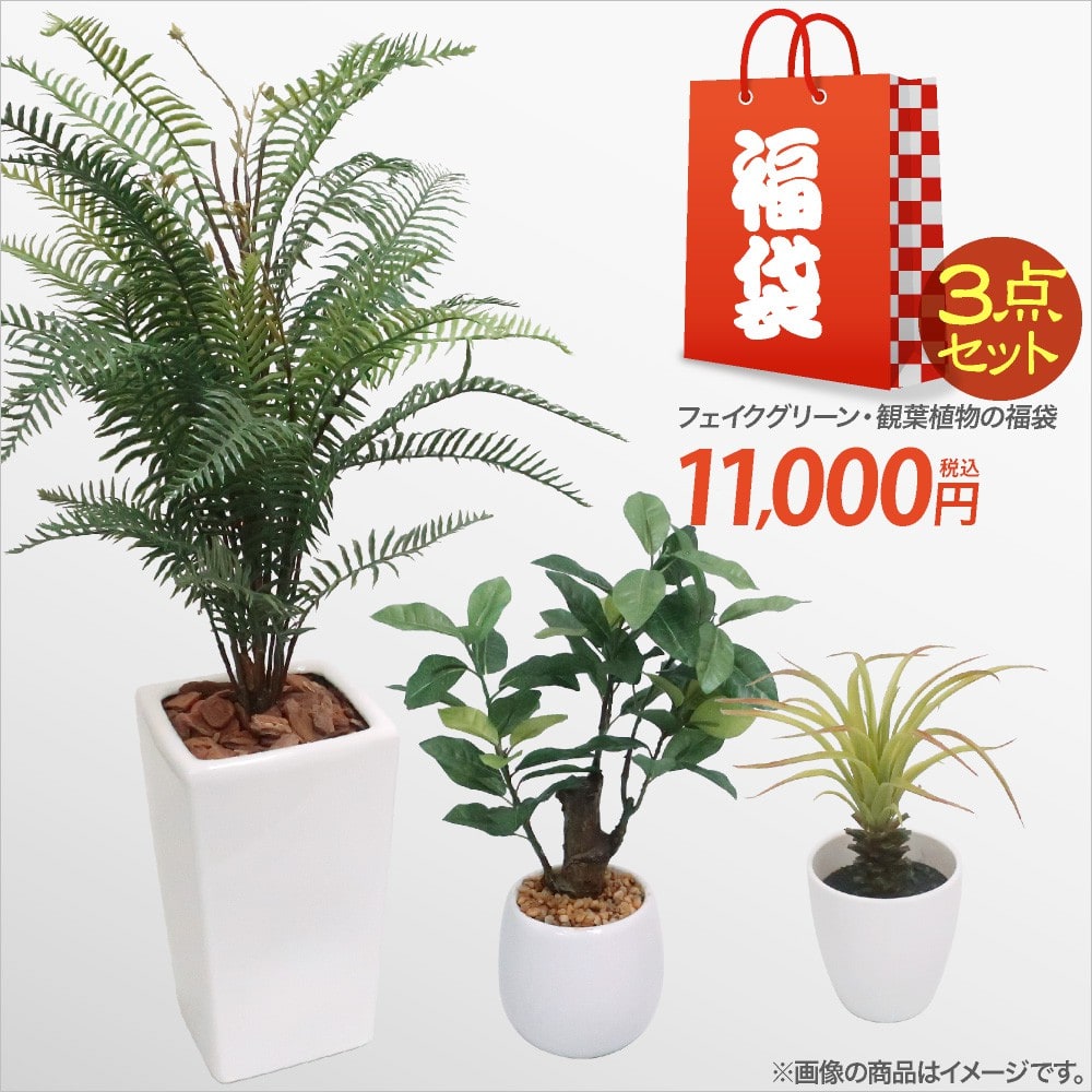 福袋 2024 観葉植物の福袋 フェイクグリーン3点セット ハッピーバッグ 