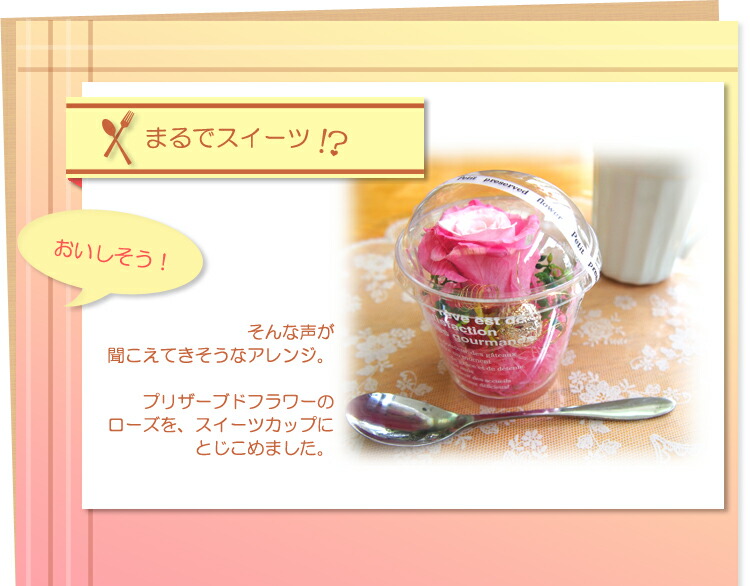 スイーツカップ