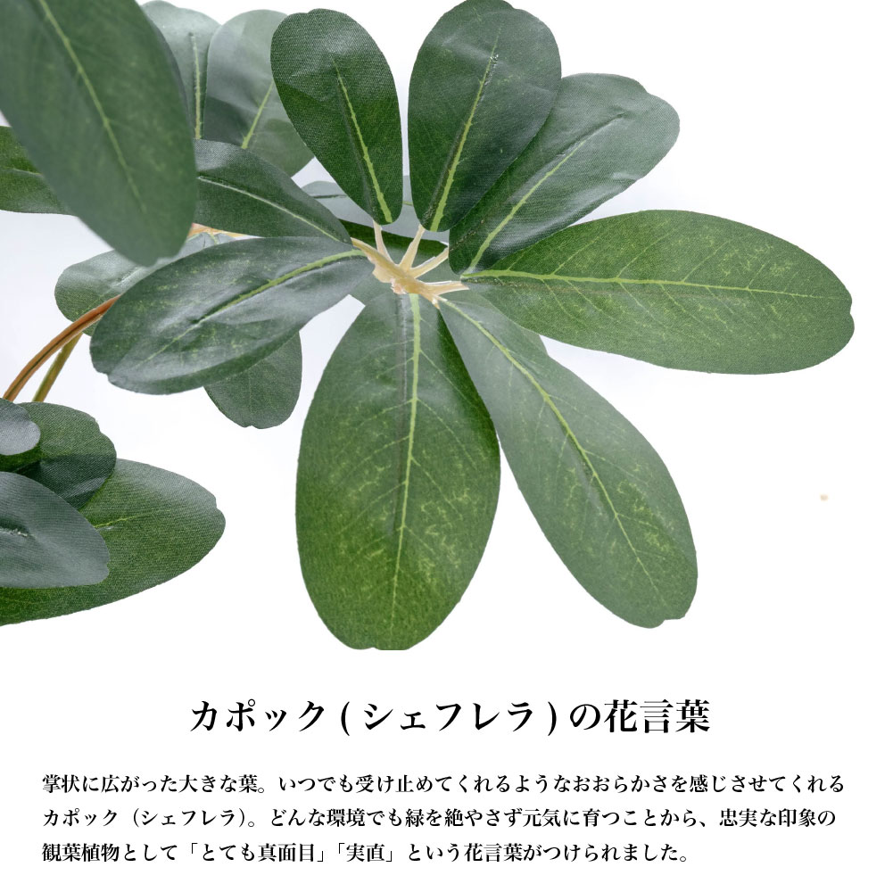 カポック 商品一覧 - フェイクグリーンの神戸花物語 - 売れ筋通販