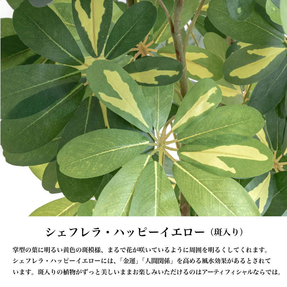 神戸花物語 フェイクグリーン カポック アルボリコラ 大型 人工観葉