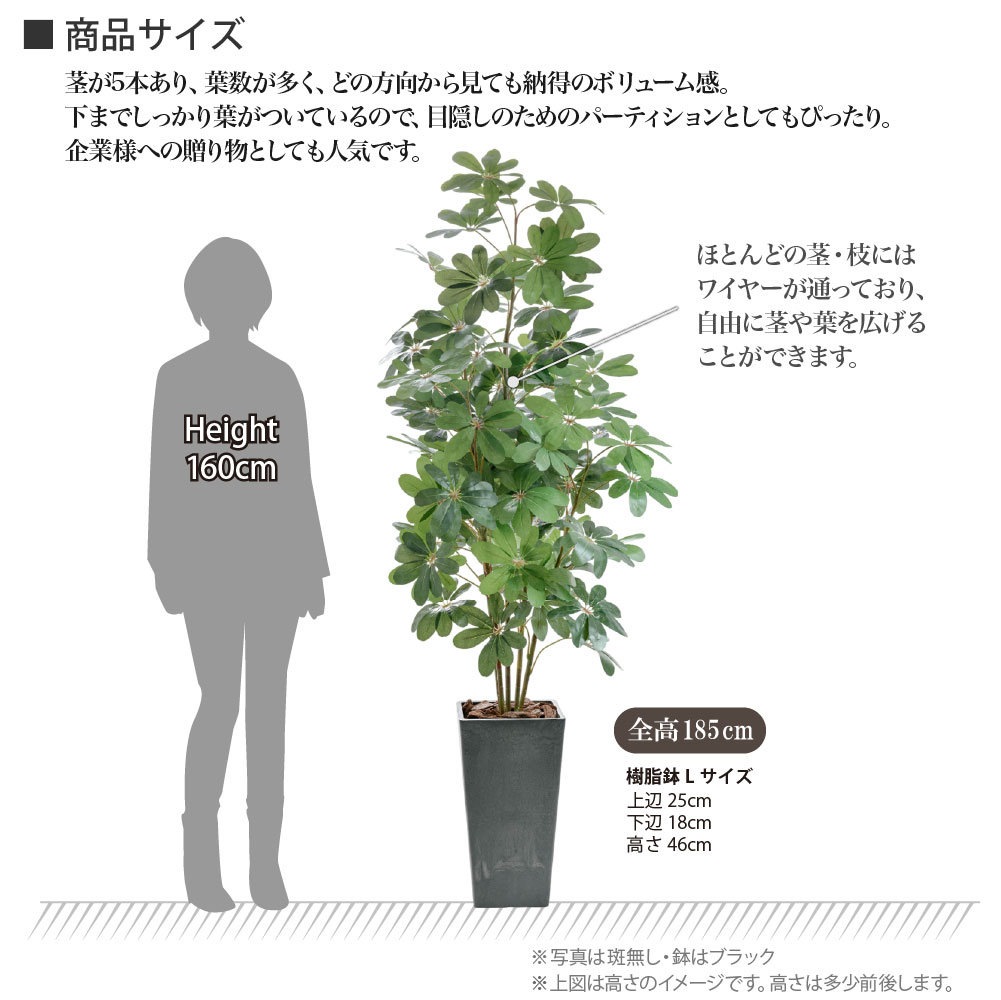 神戸花物語 フェイクグリーン カポック アルボリコラ 大型 人工観葉