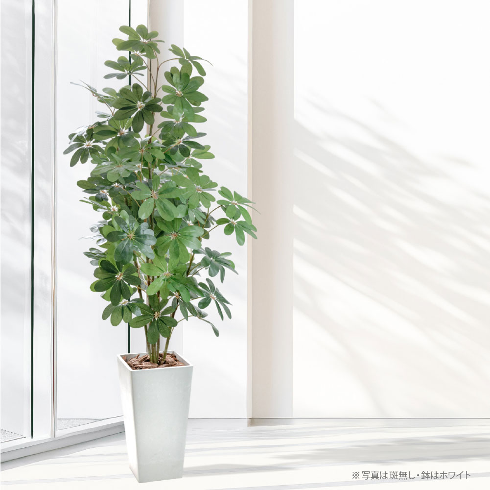 神戸花物語 フェイクグリーン カポック アルボリコラ 大型 人工観葉
