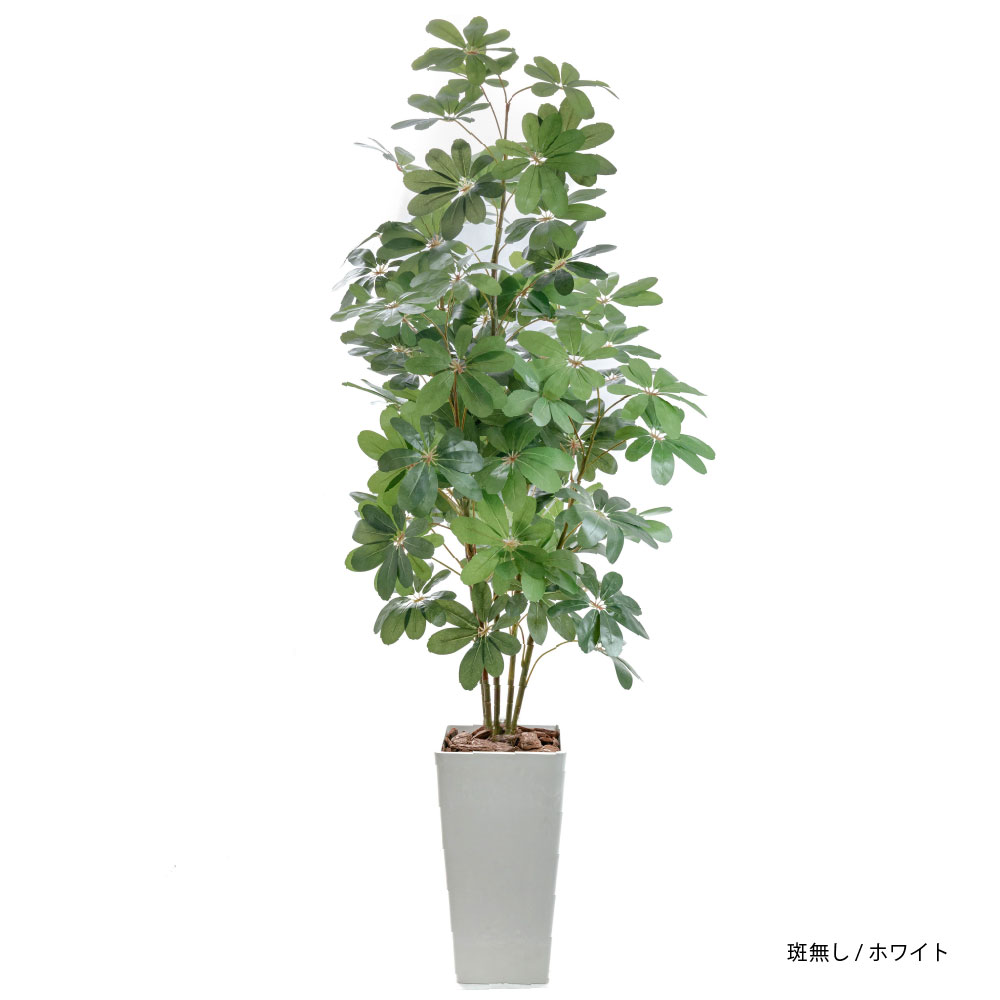 光触媒　人工観葉植物　ウォールグリーン　フェイクグリーン　カポック斑入リ1.2m 光触媒 光の楽園 カポック斑入リ1.2m【インテリア フェイクグリーン