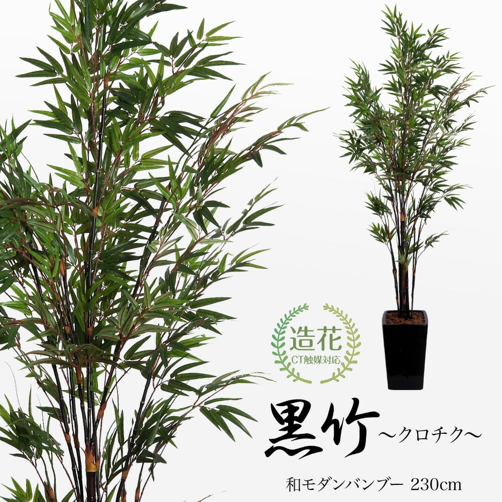 フェイクグリーン 竹 造花 和モダン 黒竹（クロチク Black Bamboo) 230cm 鉢植 バンブー 光触媒 CT触媒 インテリア リアル  おしゃれ 飲食店 料亭 七夕 笹 :ka2019-tb966:フェイクグリーンの神戸花物語 - 通販 - Yahoo!ショッピング