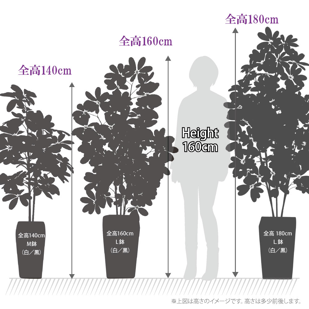 フェイクグリーン 観葉植物 人工観葉 大型 光触媒 造花 シェフレラ ナチュラル 斑入り 斑ない 鉢植 インテリア リアル / カポック 160cm  : tg-7659sc : フェイクグリーンの神戸花物語 - 通販 - Yahoo!ショッピング