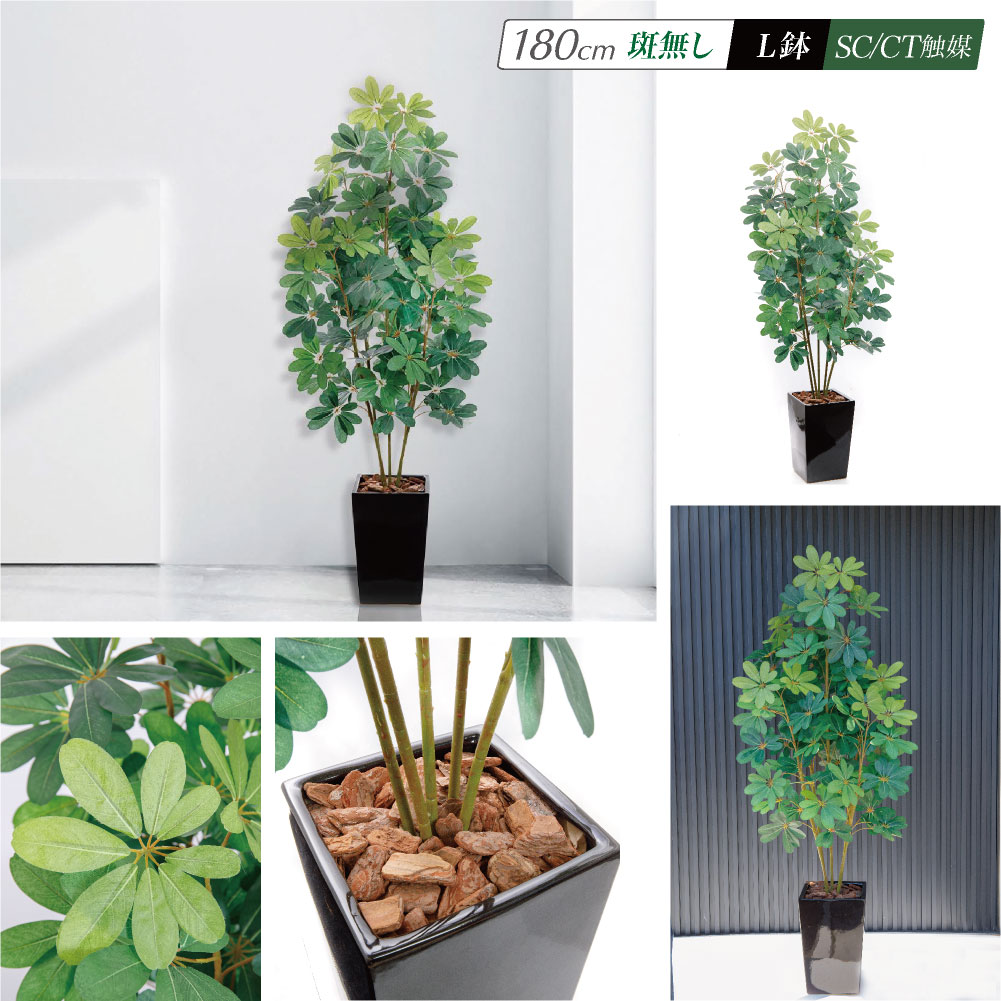 フェイクグリーン 観葉植物 人工観葉 大型 光触媒 造花 鉢植 シェフレラ 斑入り 斑なし インテリア リアル / カポック 180cm