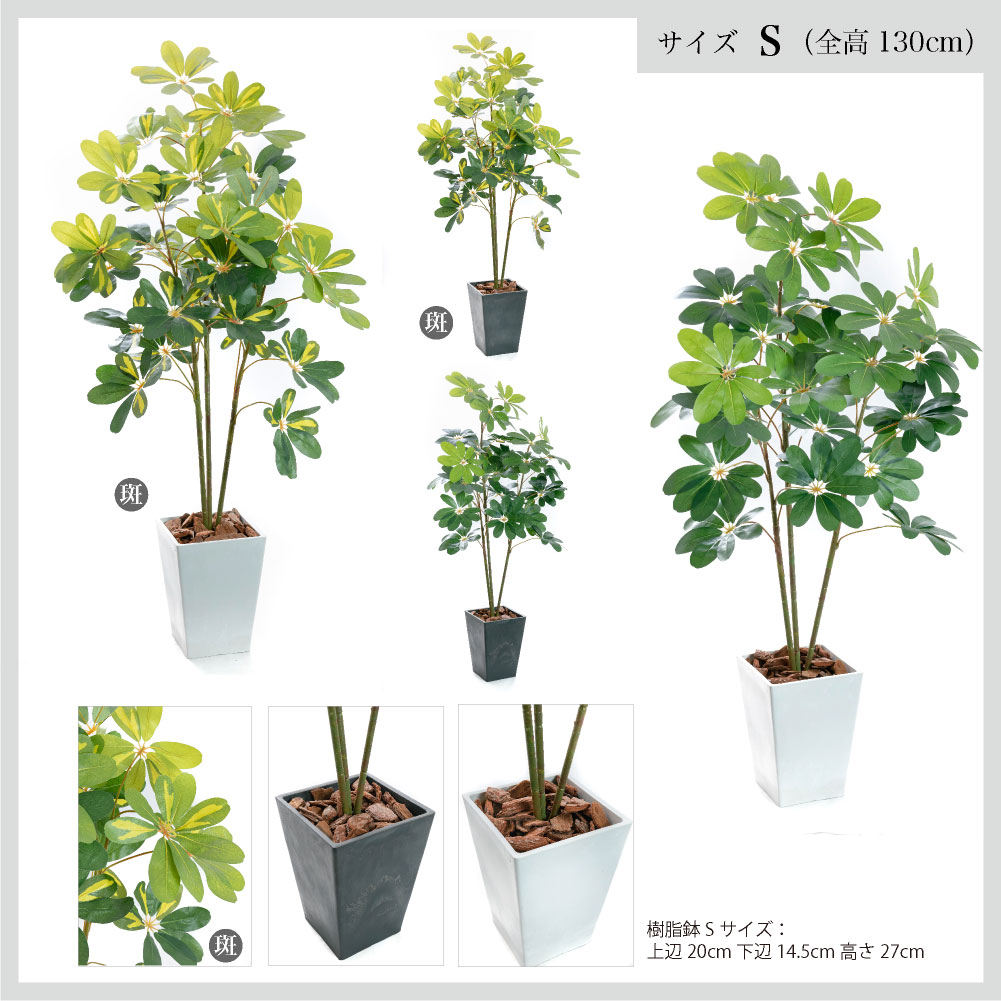 フェイクグリーン カポック(シェフレラ) 神戸花物語 140cm Amazon.co.jp: 神戸花物語(Kobe Flower Story) フェイクグリーン