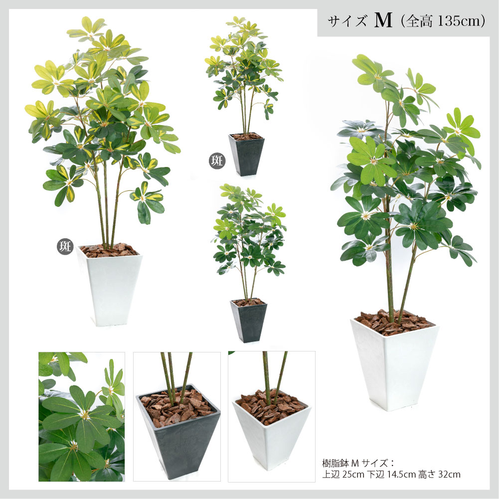 フェイクグリーン 人工観葉植物 大型 光触媒 造花 ナチュラル 鉢植 インテリア おしゃれ / カポック（シェフレラ・アルボリコラ） サイズM 樹脂鉢M 全高135cmの画像