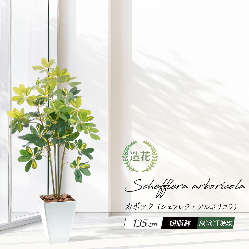 (AKIKO 専用)観葉植物 高さ約60cm 白い鉢 人工観葉植物 シダ熱帯ポット ソードファーン 白樹脂鉢Sサイズ付