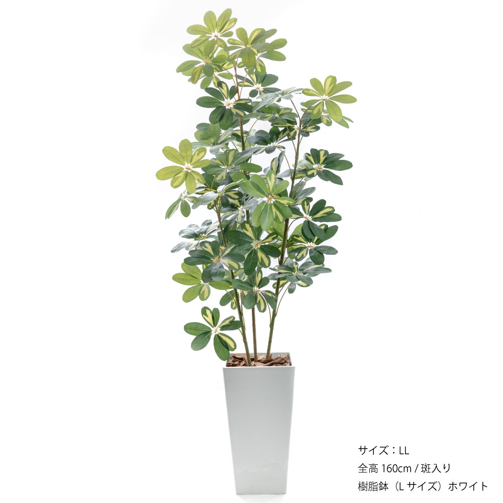 フェイクグリーン カポック(シェフレラ) 神戸花物語 140cm Amazon.co.jp: 神戸花物語(Kobe Flower Story) フェイクグリーン