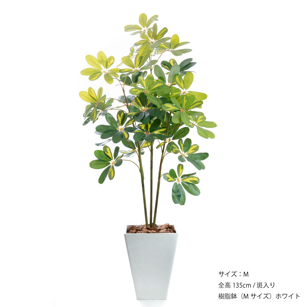 フェイクグリーン 人工観葉植物 大型 光触媒 造花 ナチュラル 鉢植 インテリア おしゃれ / カポック（シェフレラ・アルボリコラ） サイズM 樹脂鉢M 全高135cmの画像