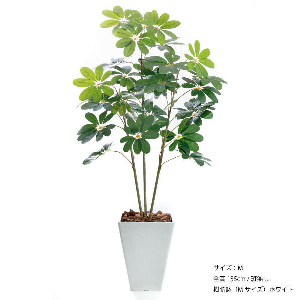 フェイクグリーン 人工観葉植物 大型 光触媒 造花 ナチュラル 鉢植 インテリア おしゃれ / カポック（シェフレラ・アルボリコラ） サイズM 樹脂鉢M 全高135cmの画像