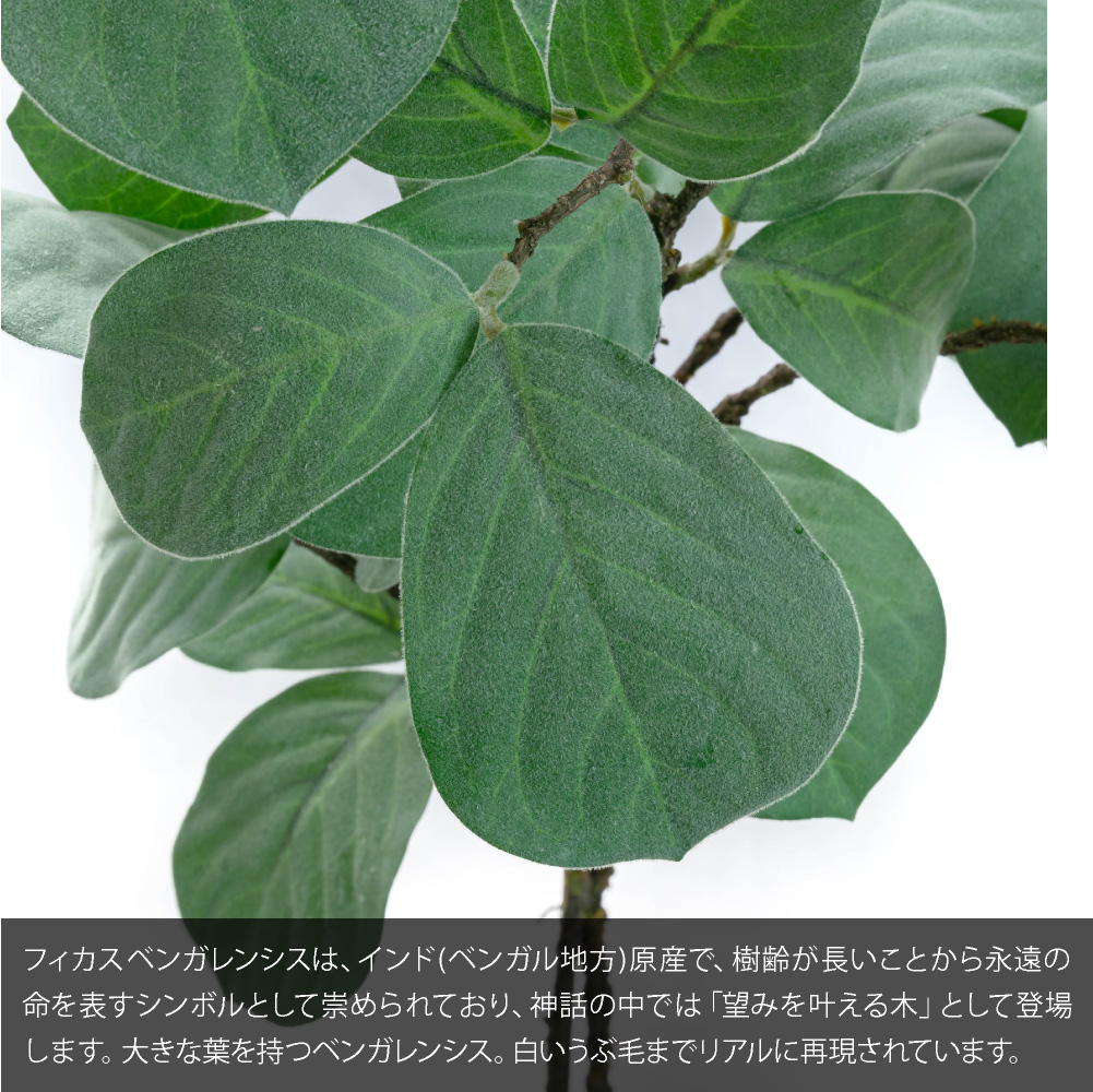 神戸花物語 フェイクグリーン 観葉植物 人工観葉 大型 光触媒 造花