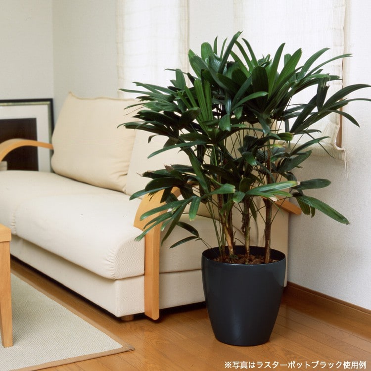 神戸花物語 ラスターポット 265型 ブラック 鉢 フェイクグリーン 観葉