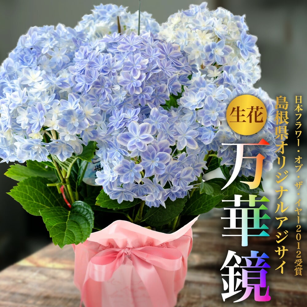 2021春夏新作】 島根水色～ブルー♥ ー万華鏡紫陽花ー 押し花 素材