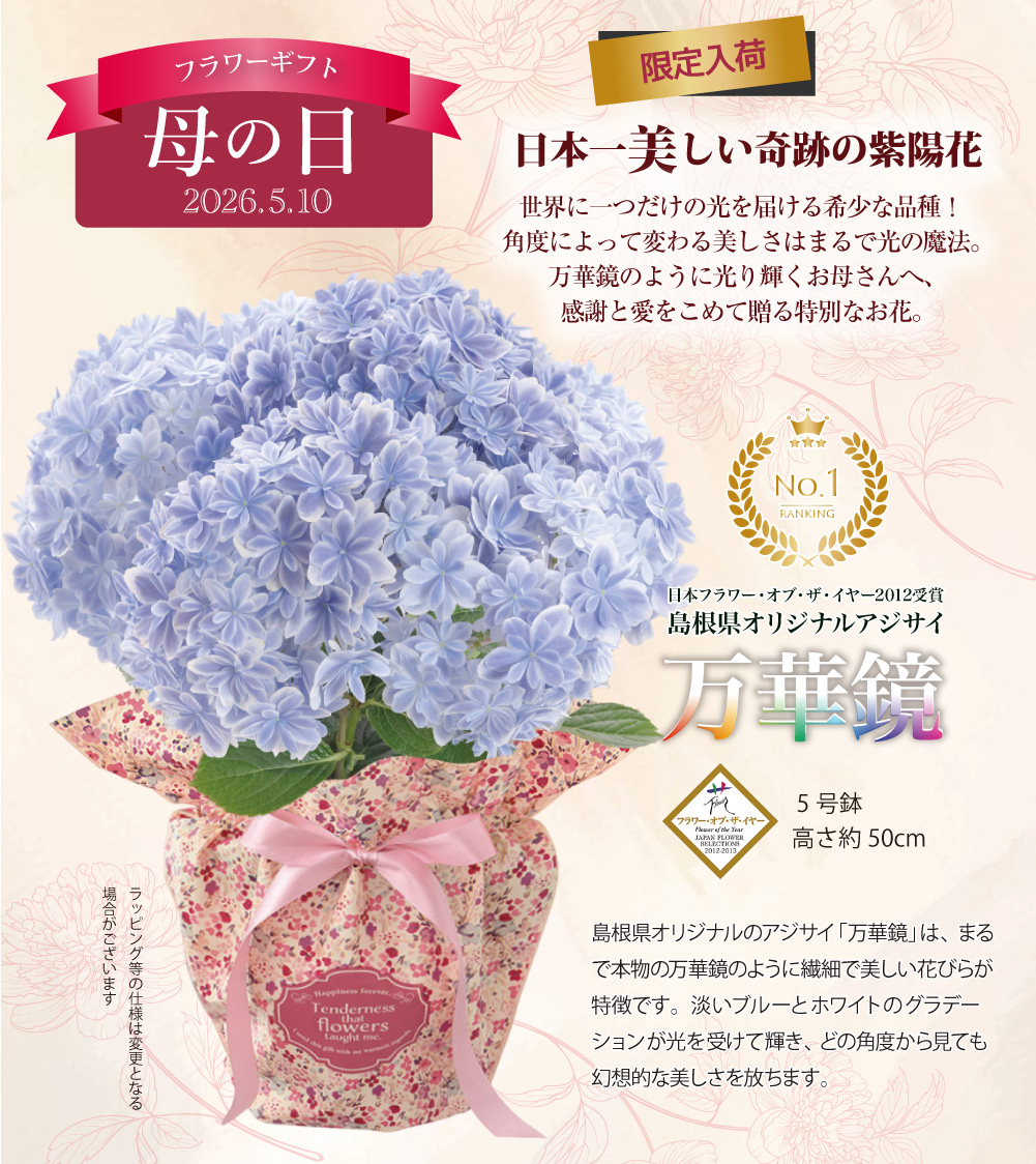神戸花物語 母の日 まだ間に合う 紫陽花 万華鏡 あじさい プレゼント
