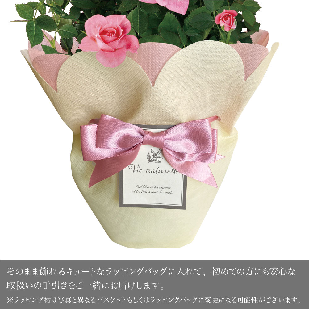 md-seika04d_2.jpg