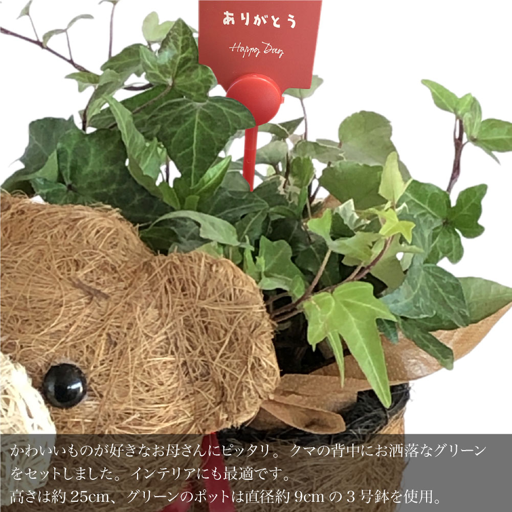 md-seika13c_1.jpg