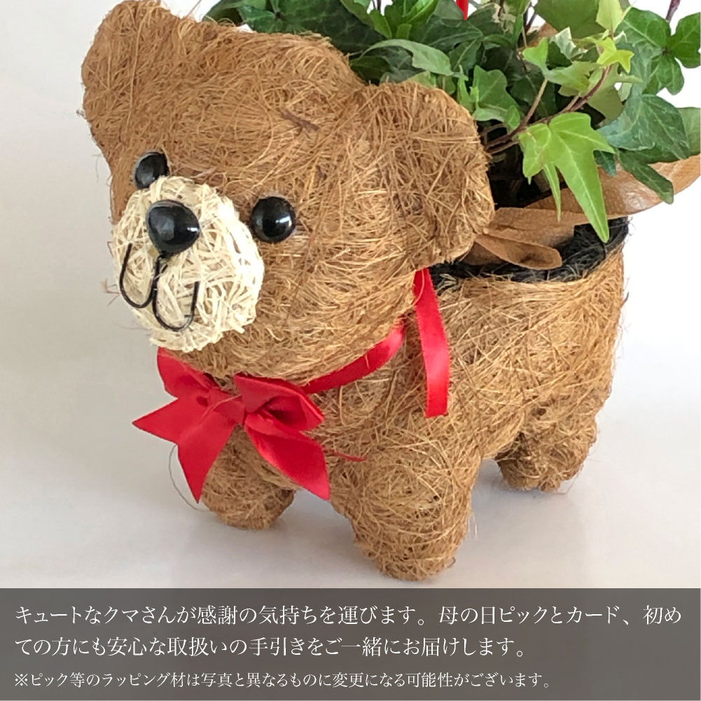 かのん★【くまさんの贈り物】✕３　宅急便発送 くまさん。様専用 （クーポン対象外】 かのん☆様 宅急便発送
