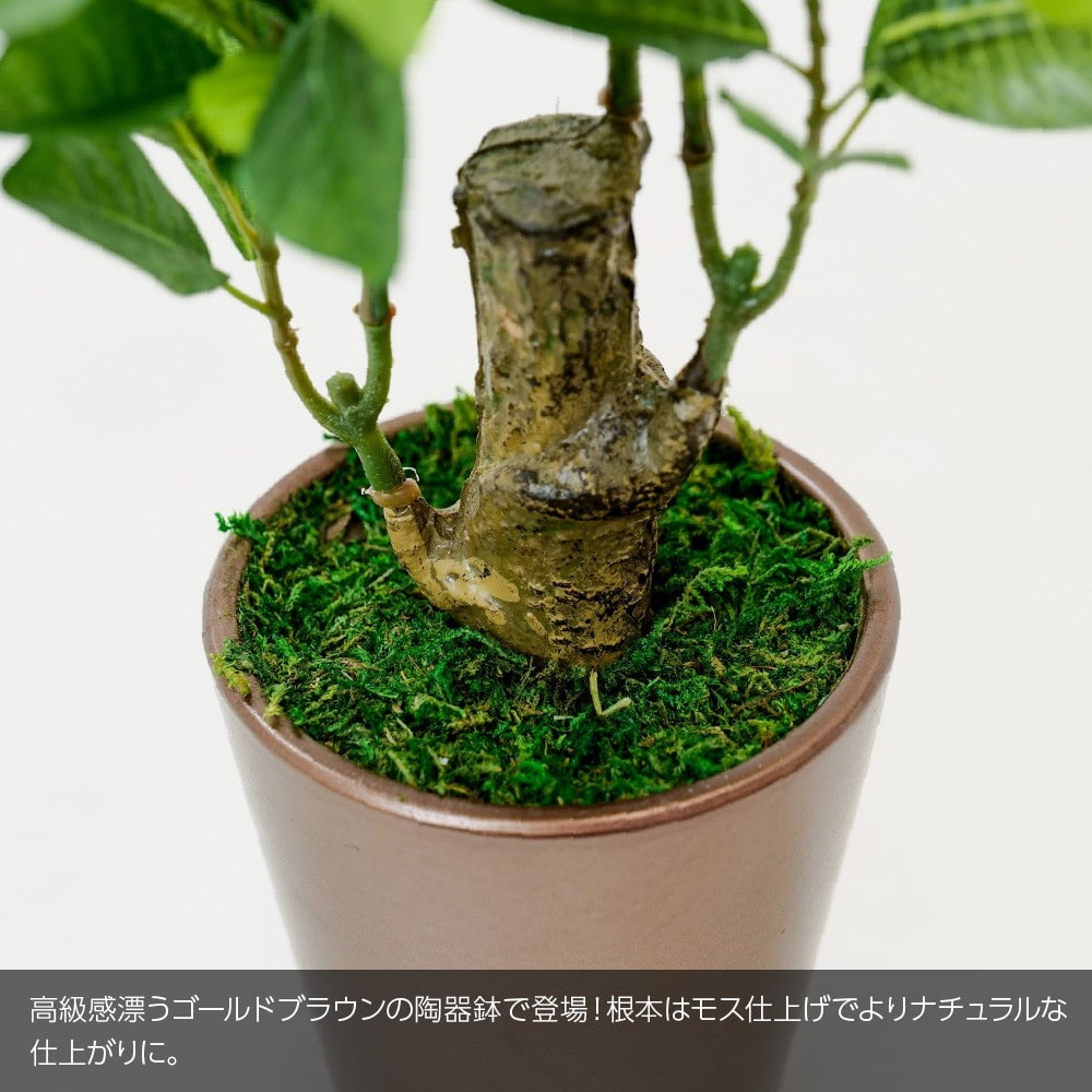 神戸花物語 フェイクグリーン 観葉植物 人工観葉 卓上 ミニ 小さい