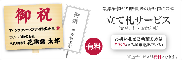 フェイクグリーンの神戸花物語 Yahoo ショッピング フェイクグリーンの神戸花物語 Yahoo ショッピング