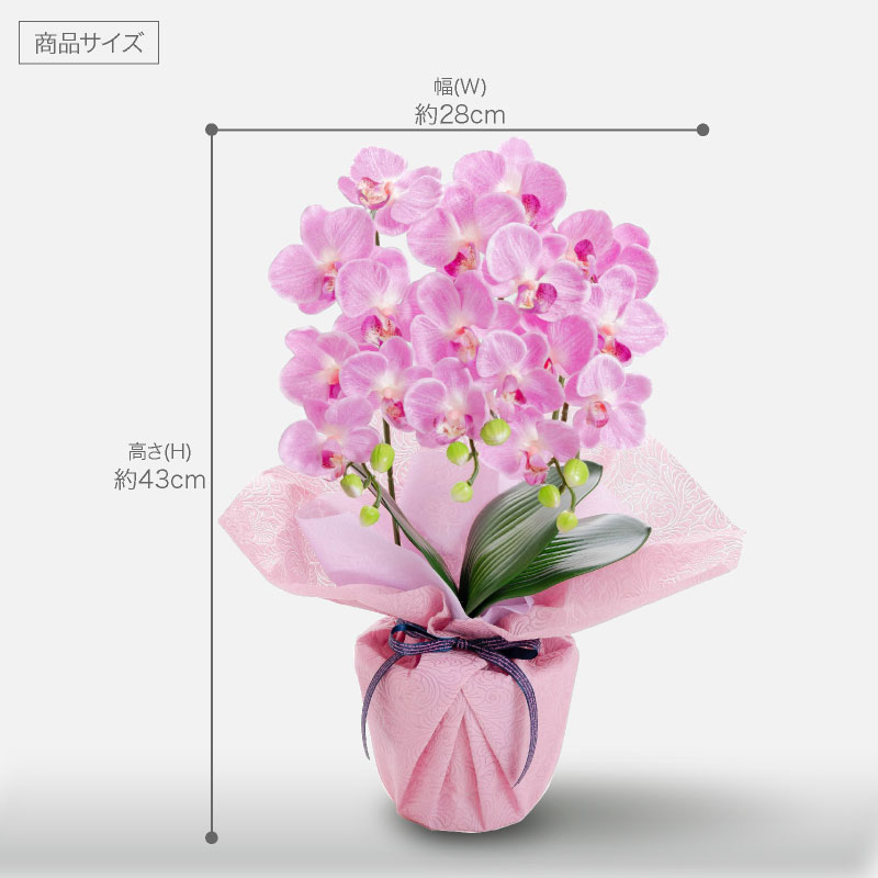 胡蝶蘭造花