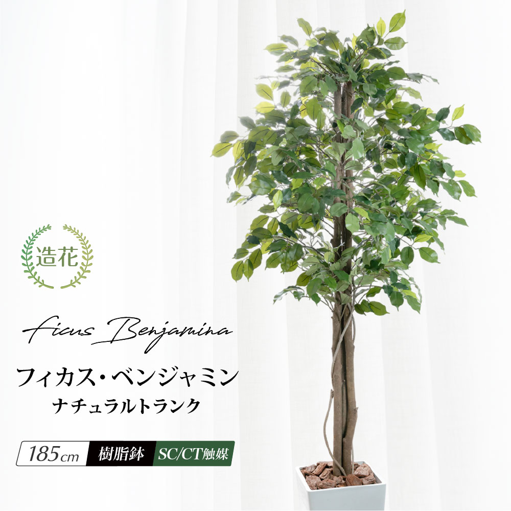 フェイクグリーン 人工観葉植物 大型 光触媒 天然木 リアル 造花 消臭 おしゃれ お祝い / ナチュラルトランク フィカス ベンジャミン 樹脂鉢L 全高185cm